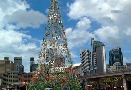 unbenannte Fotosession 20131215 1002